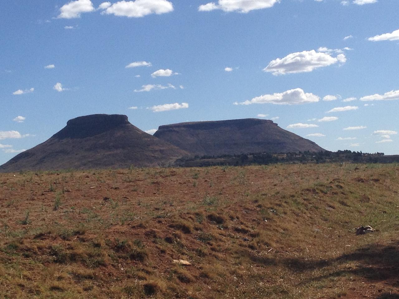 Community programs and collaboration